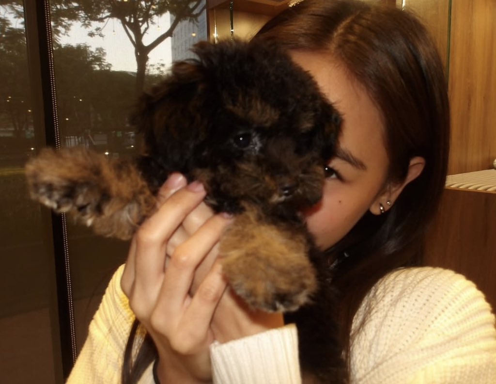 jwyfer's tweet photo. CUTEEEEEEEEEE ARGHHHHHHHH https://t.co/tqLRHCPGhh