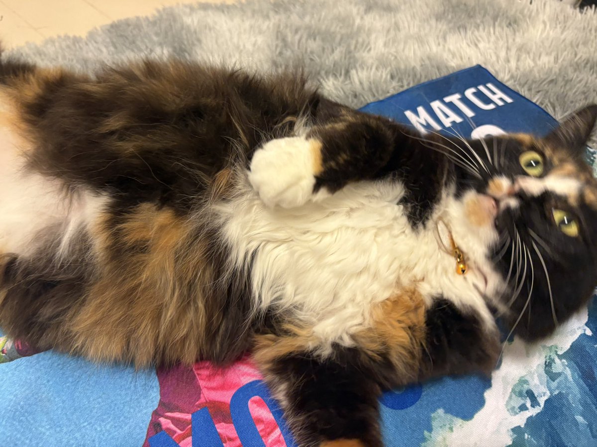 じゅひ tweet media