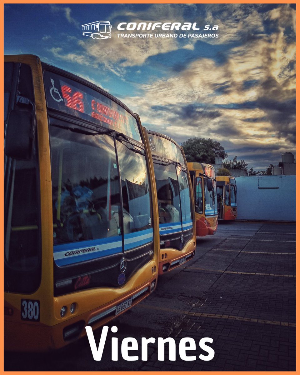 ConiferalOK tweet media