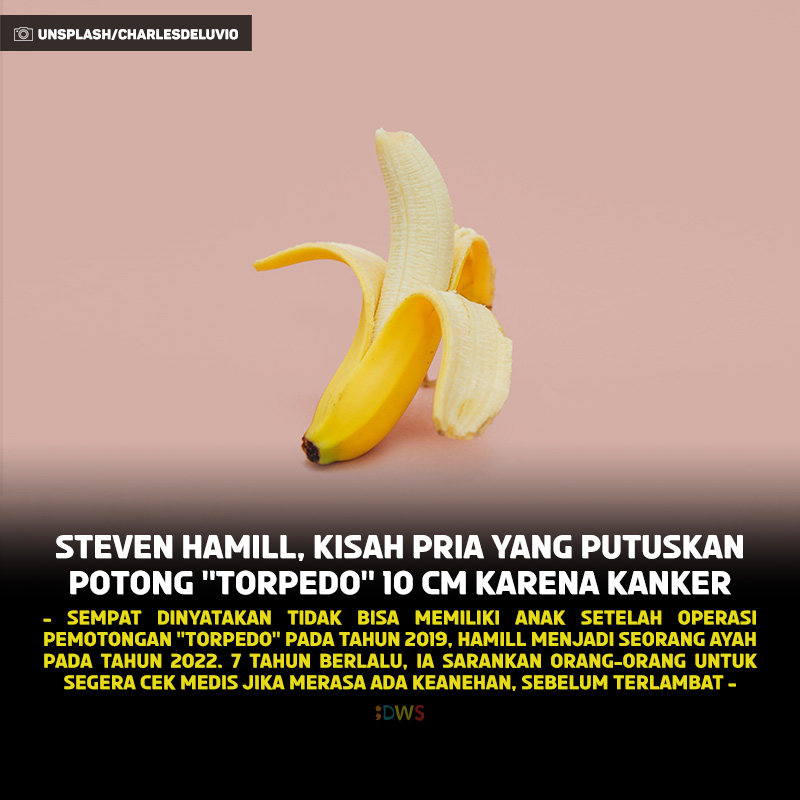 INDOWEBSTER tweet media