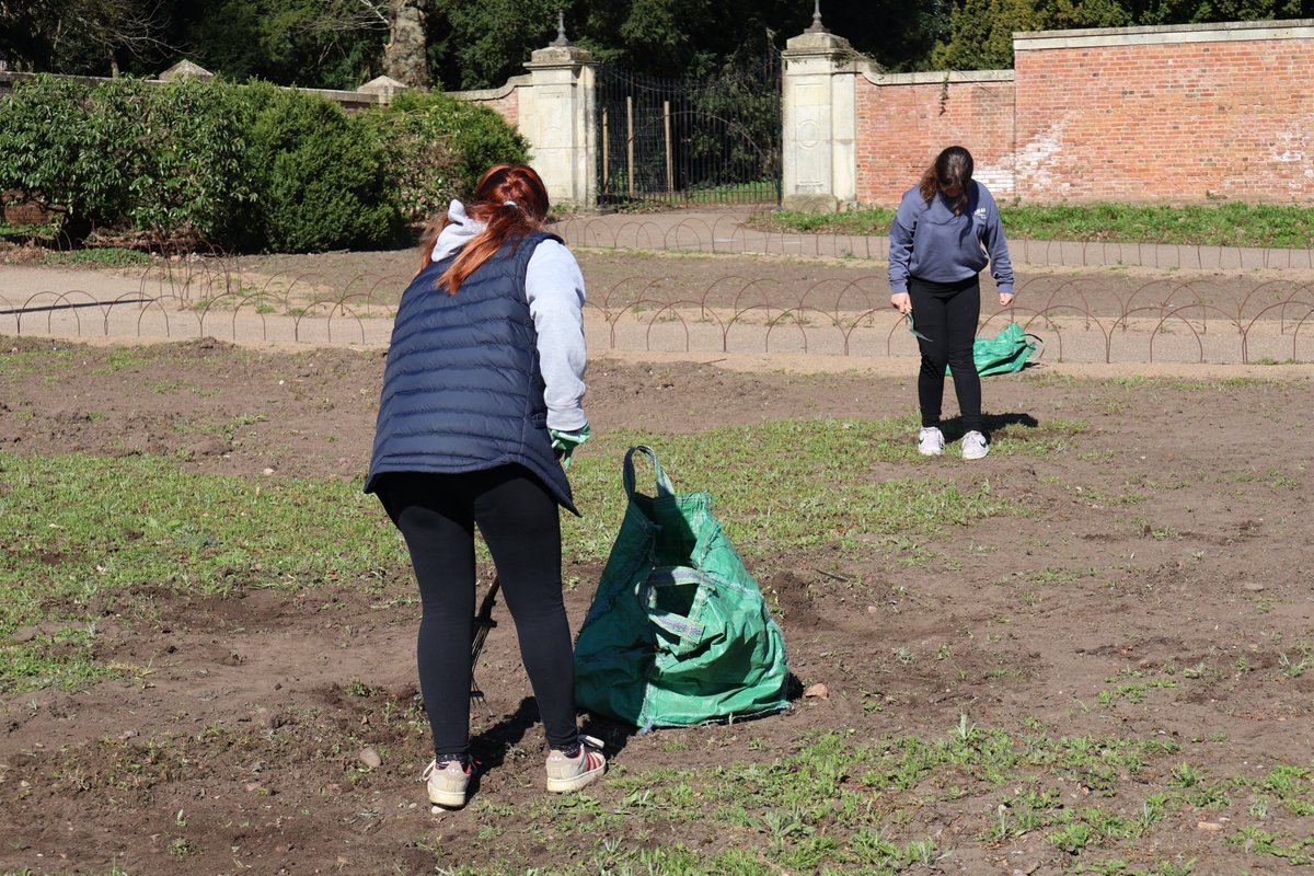 Team Fostering tweet media