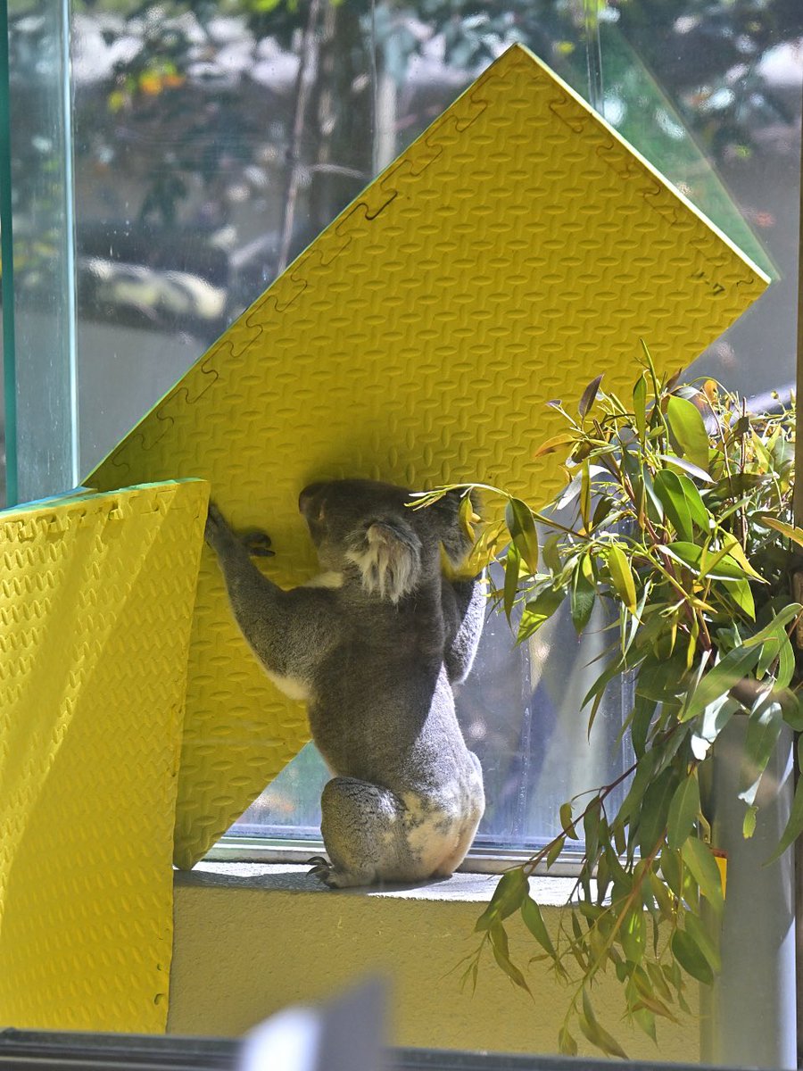 都築英哲 tweet media