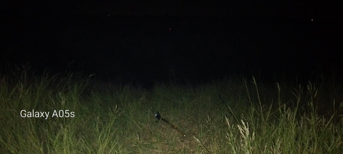 โอ๋เธอหวานเจี๊ยบ tweet media