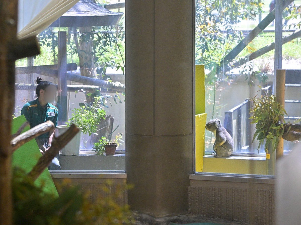 都築英哲 tweet media