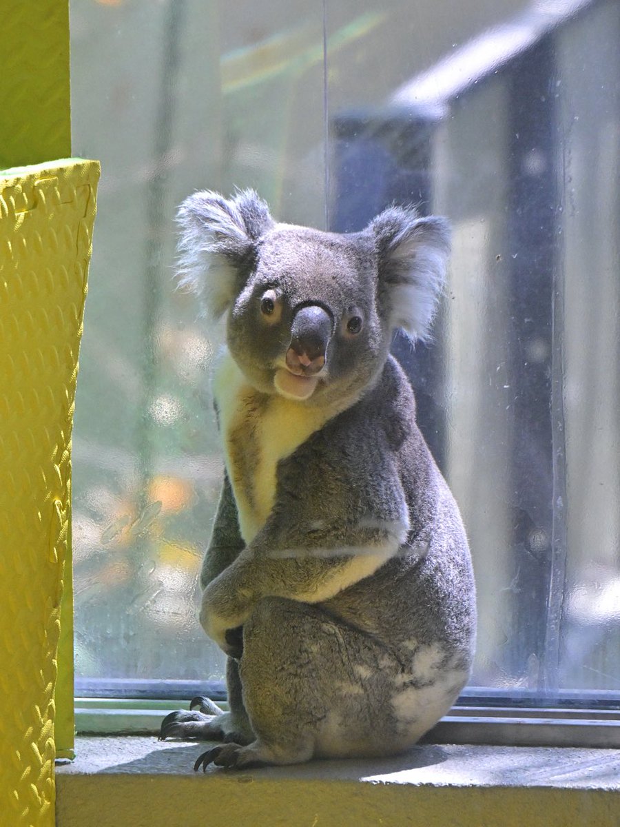 都築英哲 tweet media