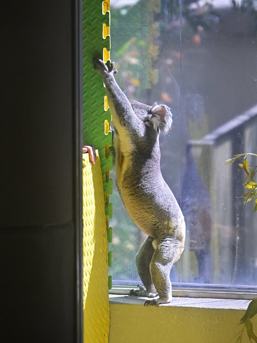 都築英哲 tweet media