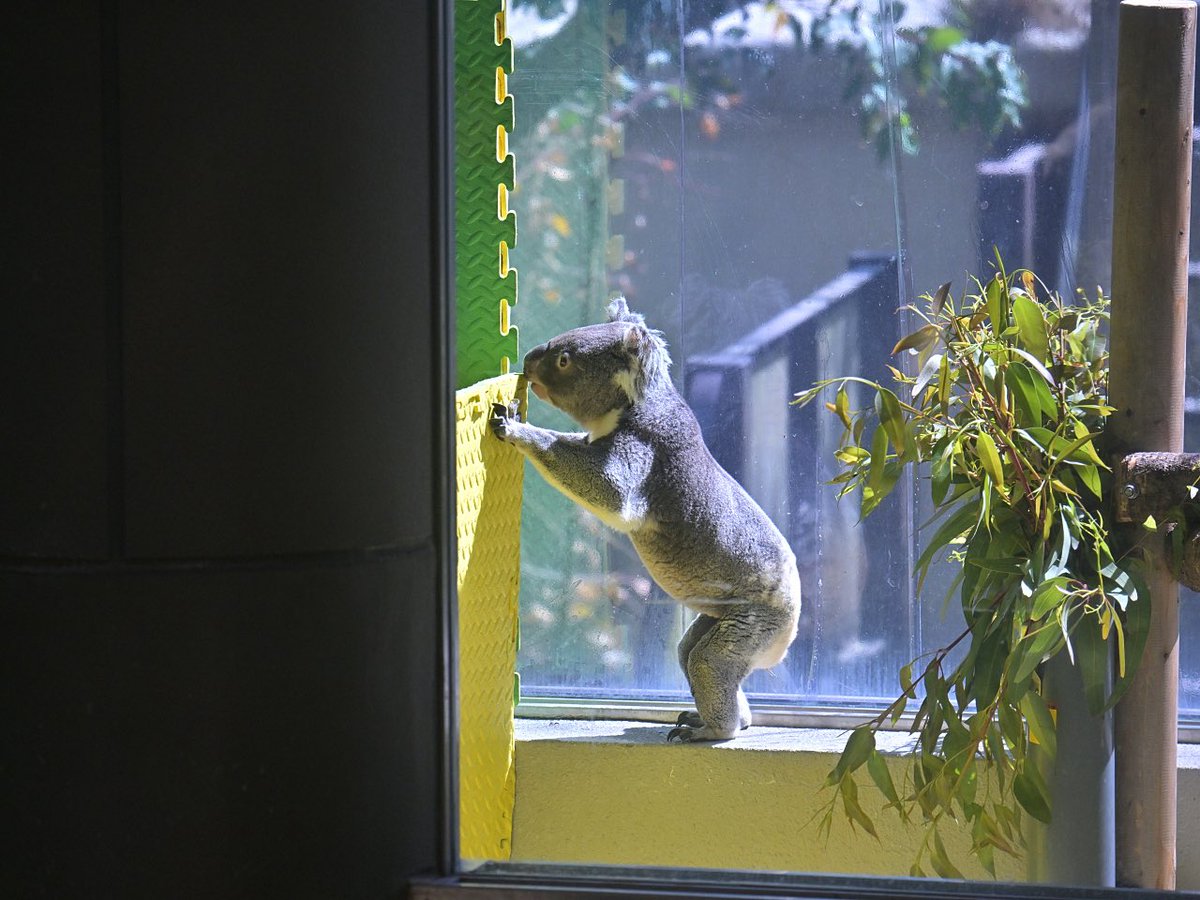 都築英哲 tweet media