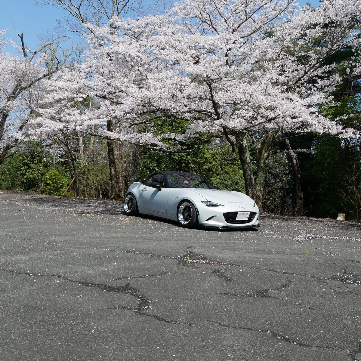 ｹﾝﾄ tweet media