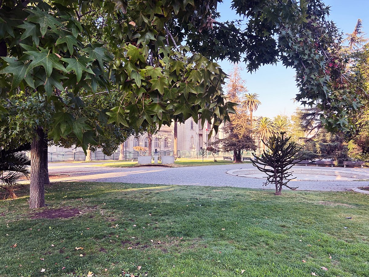 Museo Nacional de Historia Natural tweet media