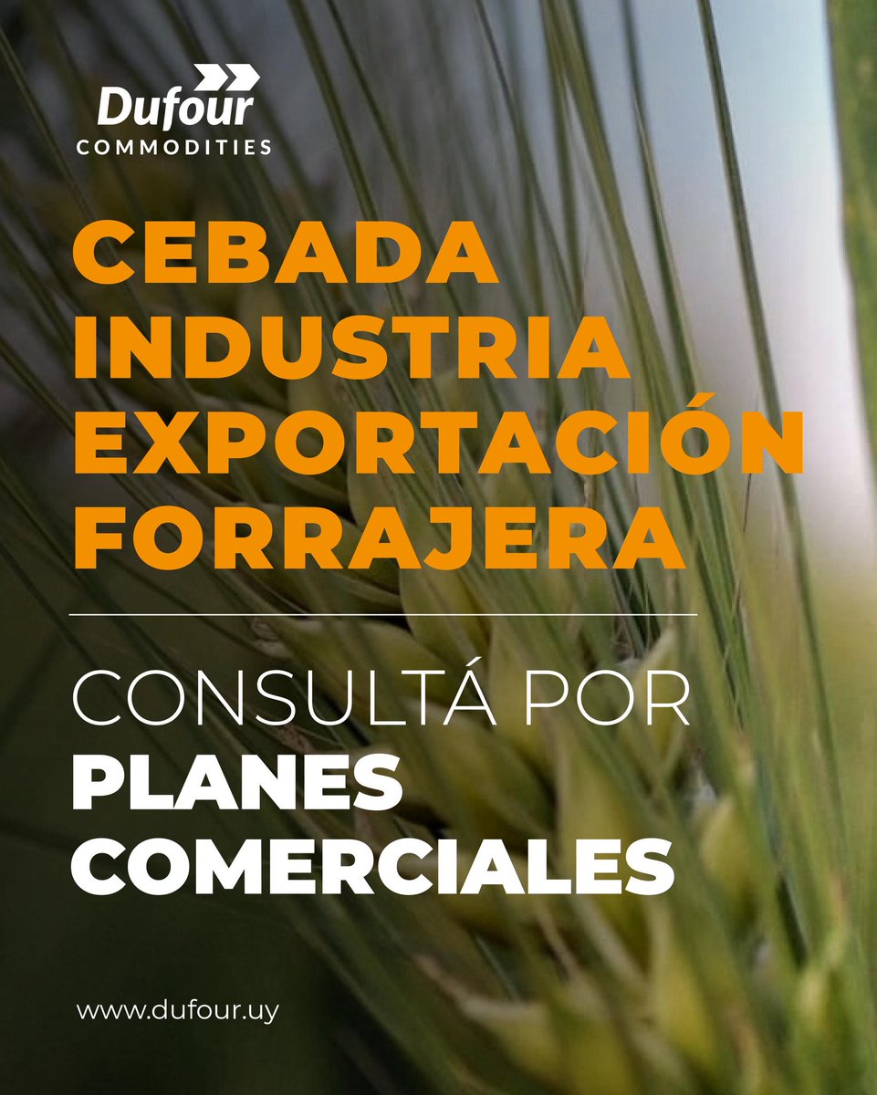 Dufour Commodities tweet media