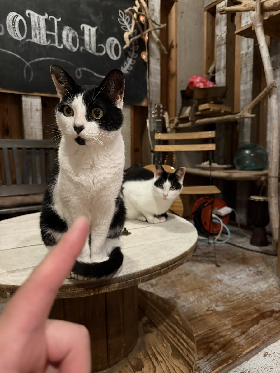 スニタ tweet media