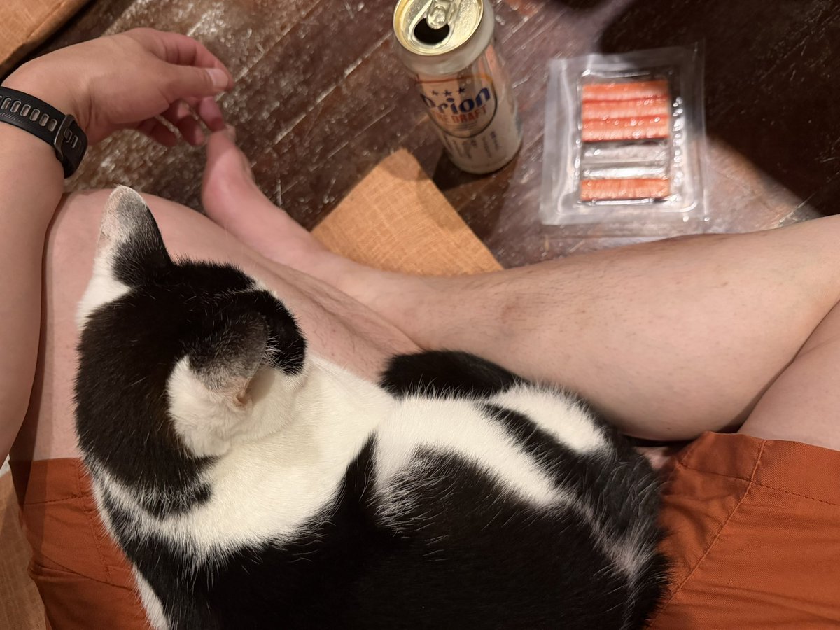 スニタ tweet media