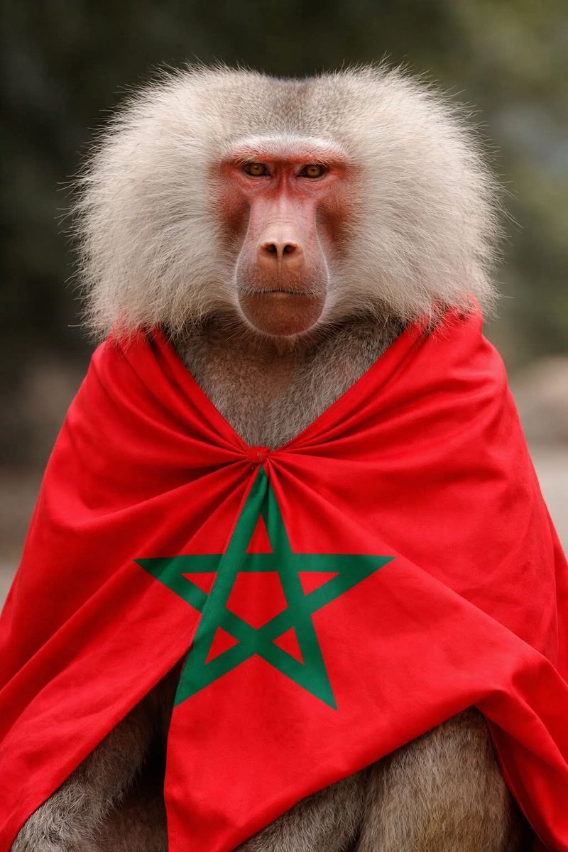 Mustapha tweet media