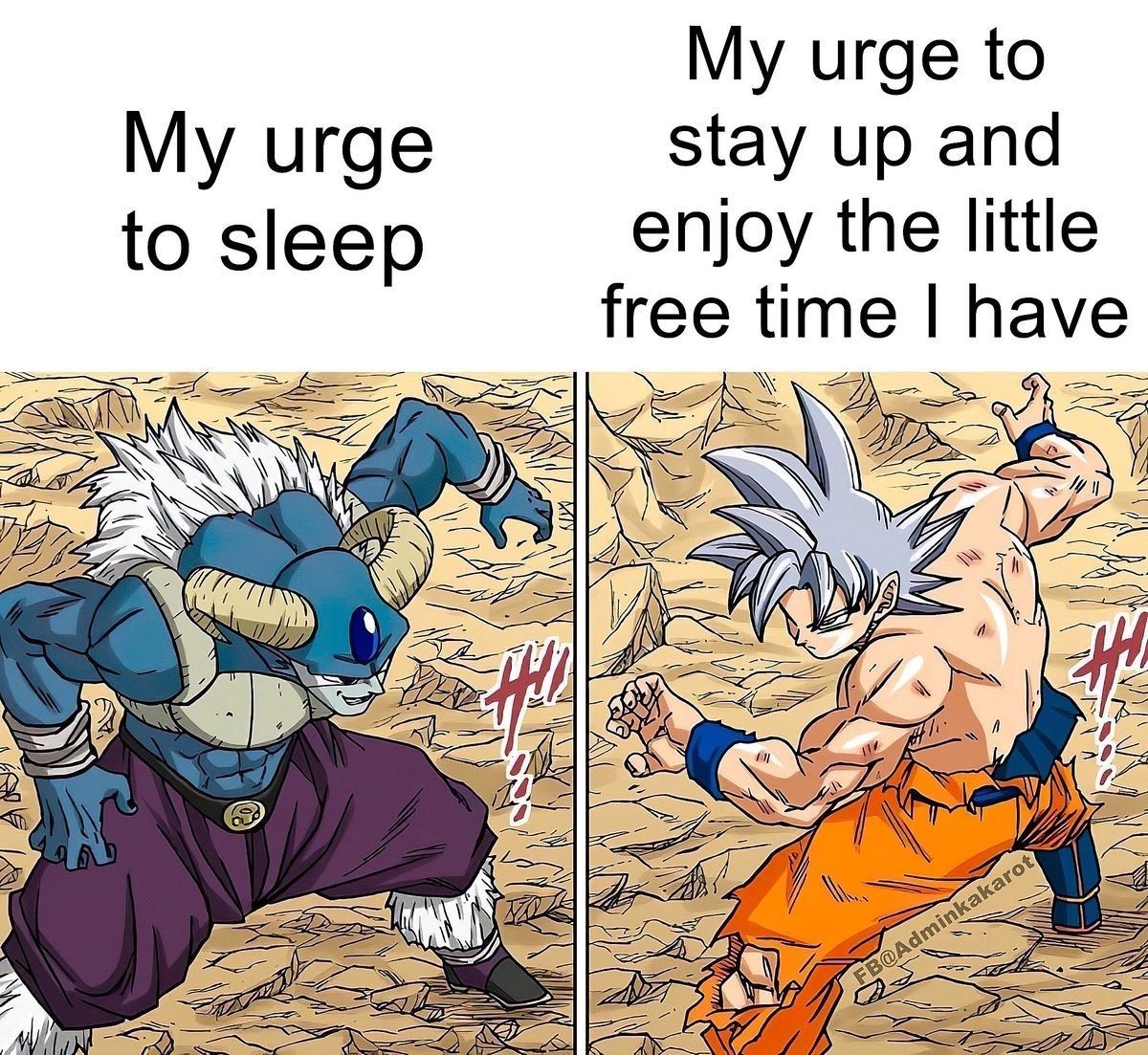 Dragon Ball Daily tweet media