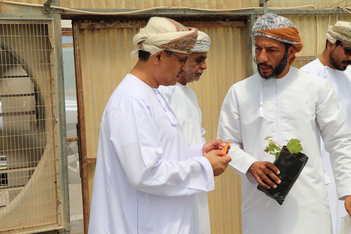 البحوث الزراعيةوالحيوانية - سلطنة عُمان tweet media