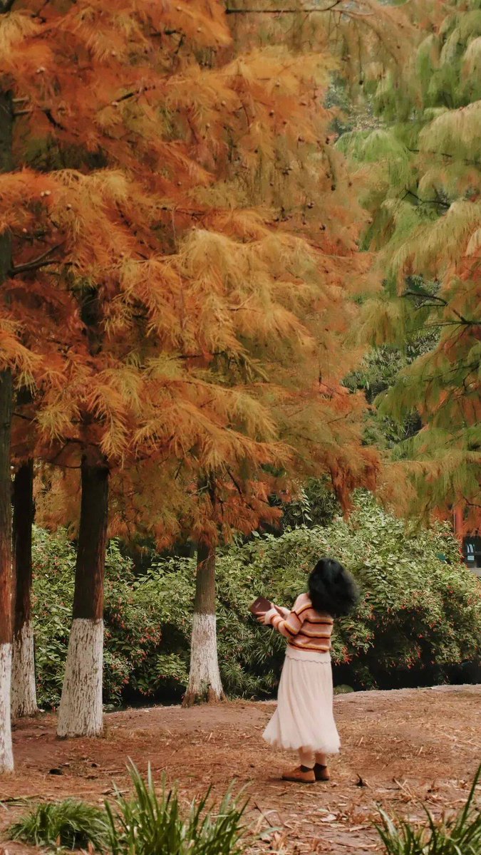 Kayla Csanady tweet media