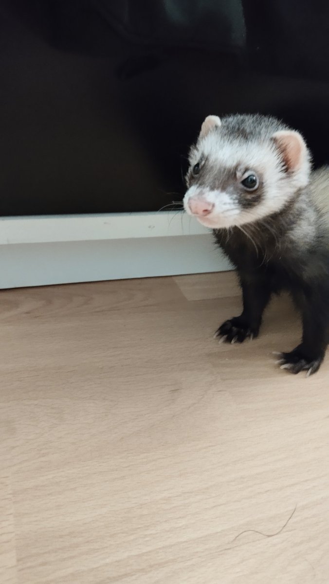 Eric Torres tweet media