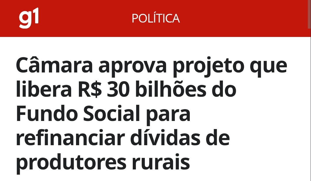 Rosa Amorim tweet media