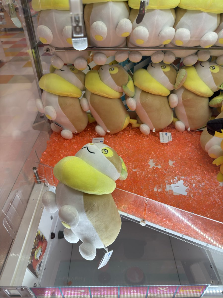 ここから入れる保険ってあるんですか…！？