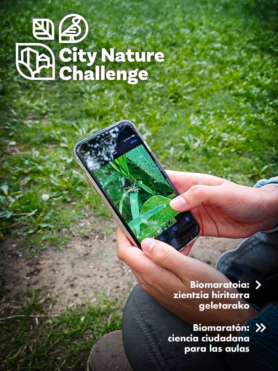 Mancoeduca tweet media