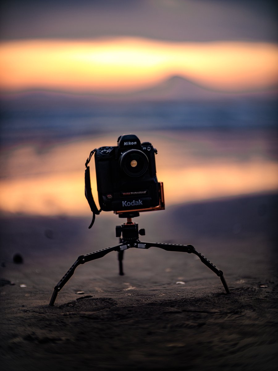 しゅがーଳ tweet media