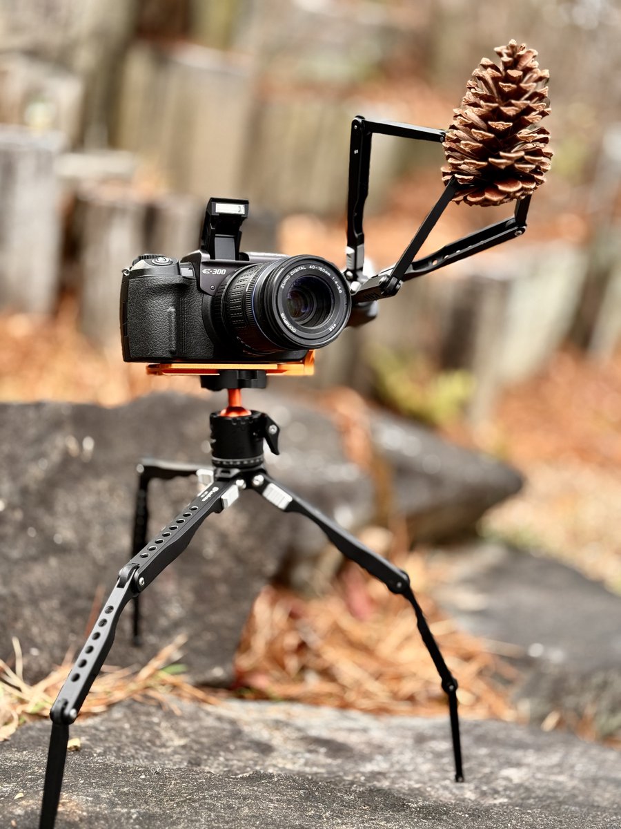 しゅがーଳ tweet media