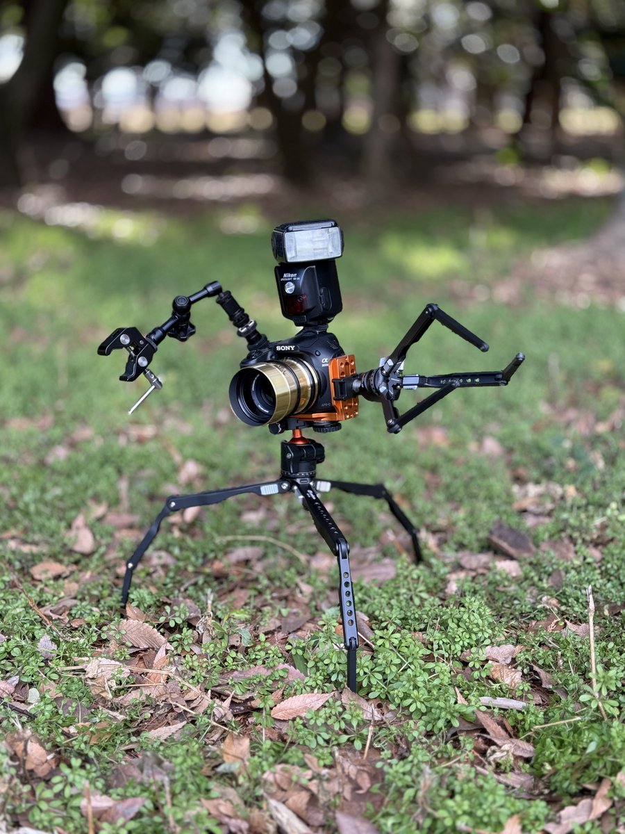 しゅがーଳ tweet media