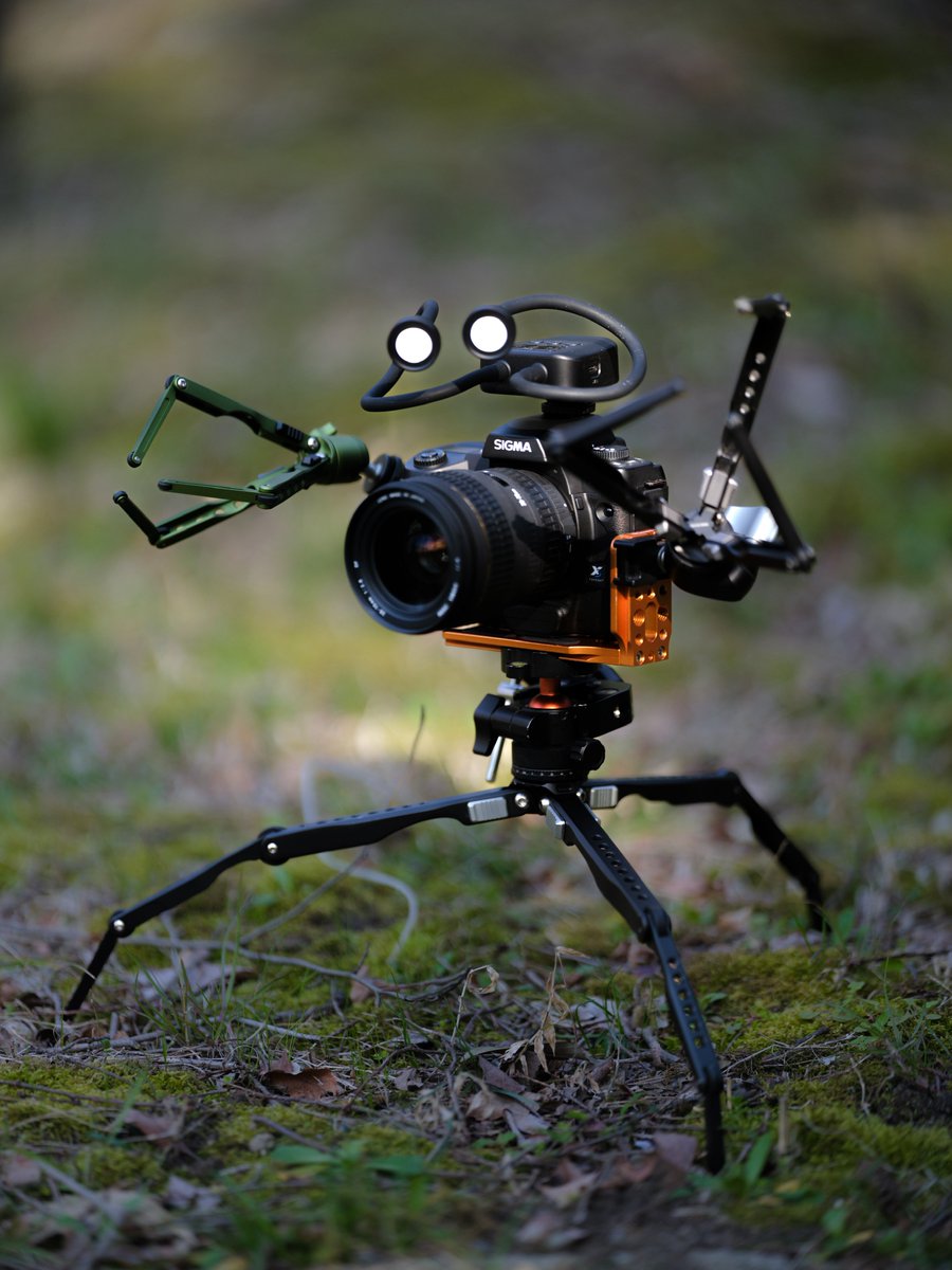 しゅがーଳ tweet media