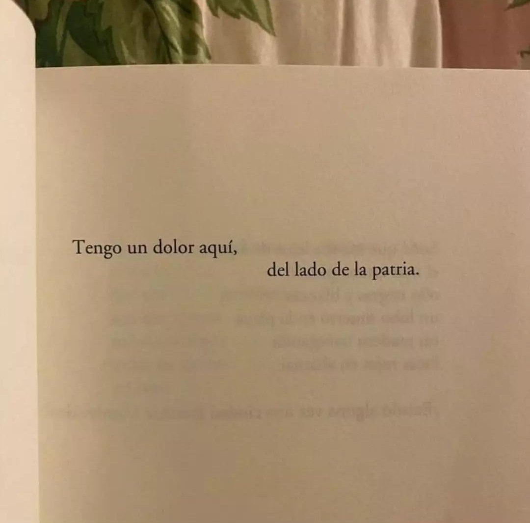 Hace más de dos años que no existen las buenas noticias en este país. Hace más de dos años que nos están desmantelando nuestra tierra y aporreando la mente el alma y el cuerpo. Hace más de dos años que vuelvo a esto de cristina peri rossi con el corazón completamente estrujado