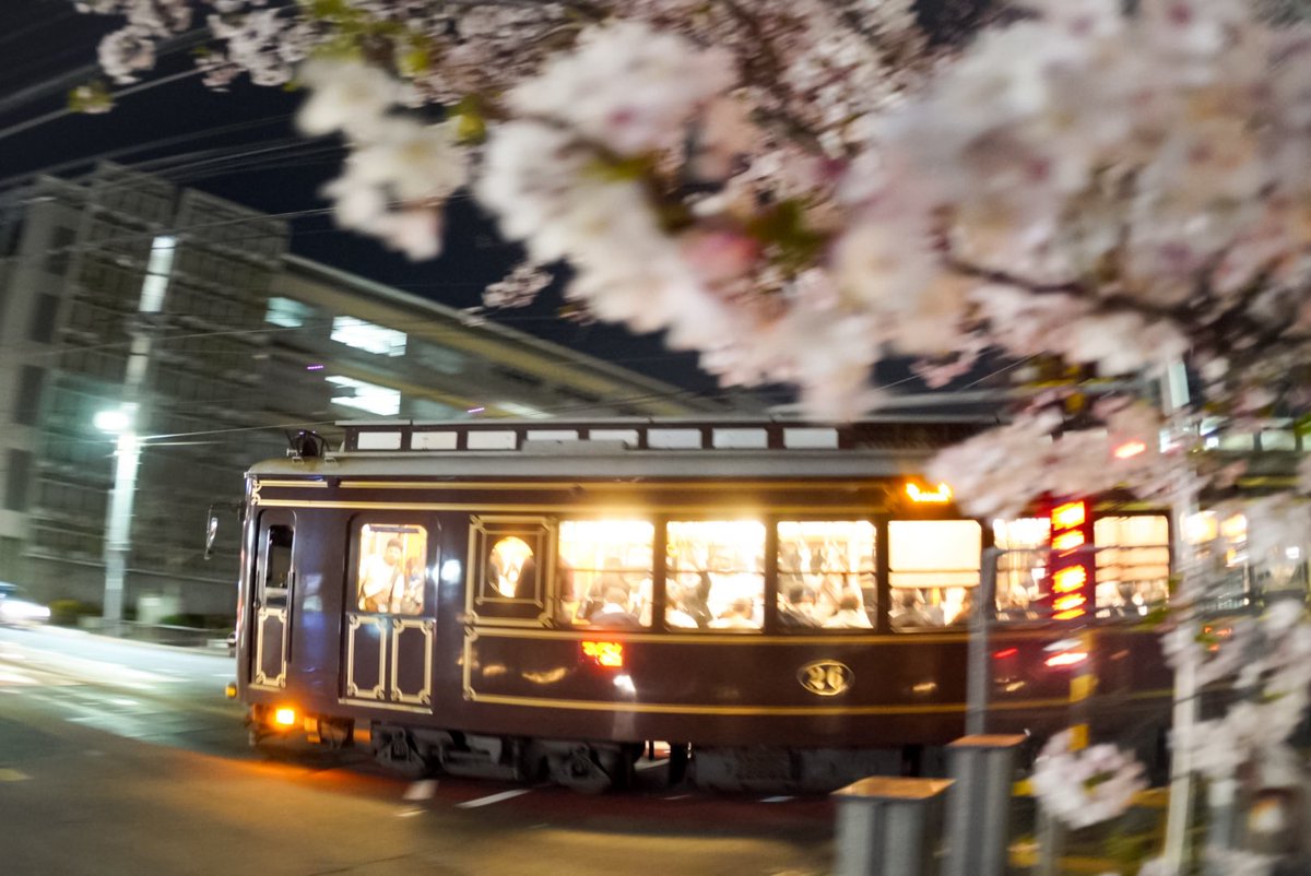 K_FKA2T's tweet photo. 嵐電3色×桜
緑とチョコ色は桜と組み合わせると対比が綺麗だなと思う一方で、京紫は同系色のため他よりは落ち着いた印象になりますね。 https://t.co/tMUvRqyhse