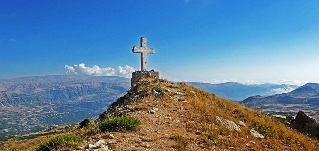 Peter Daou tweet media