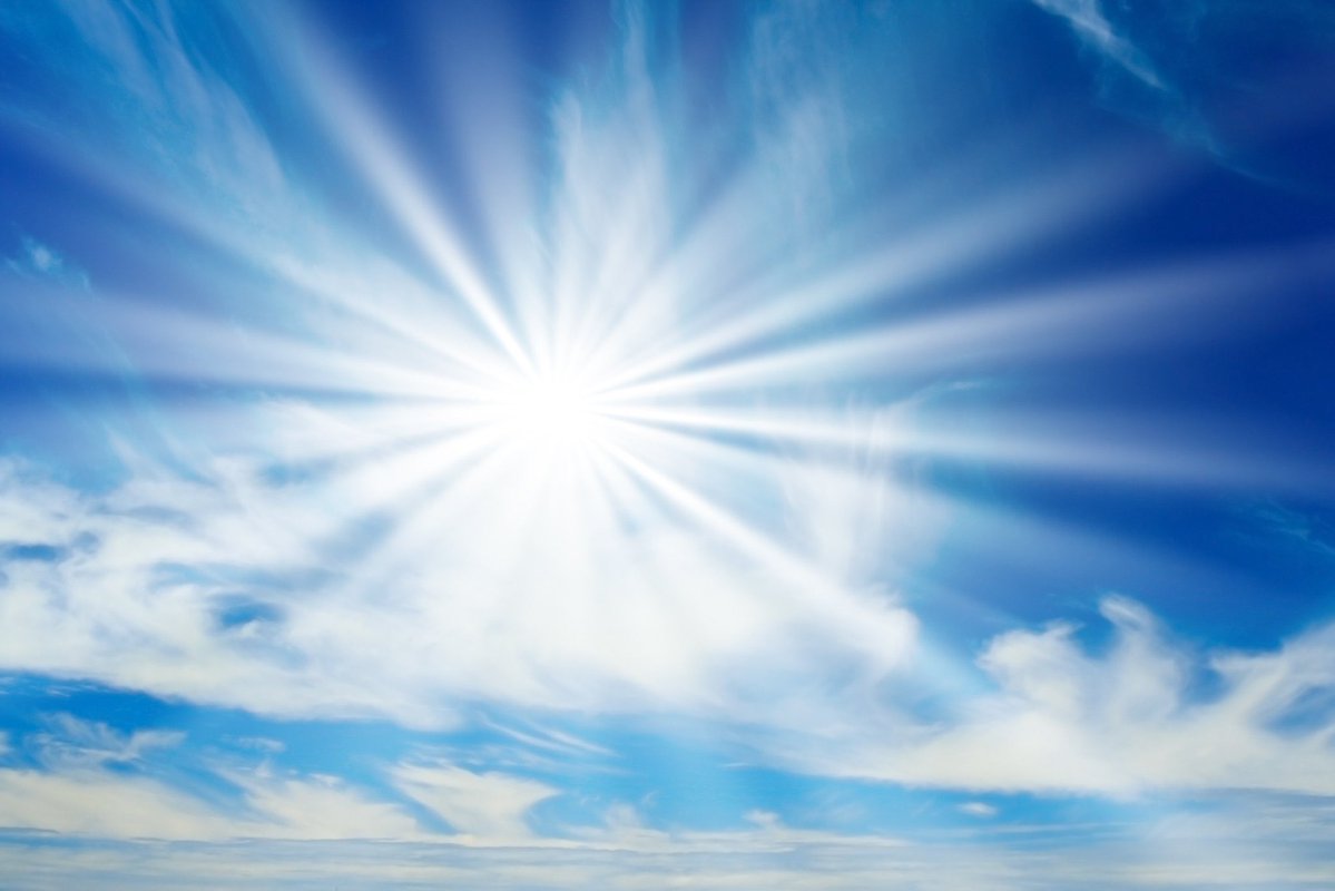 Lori Shemek, PhD tweet media