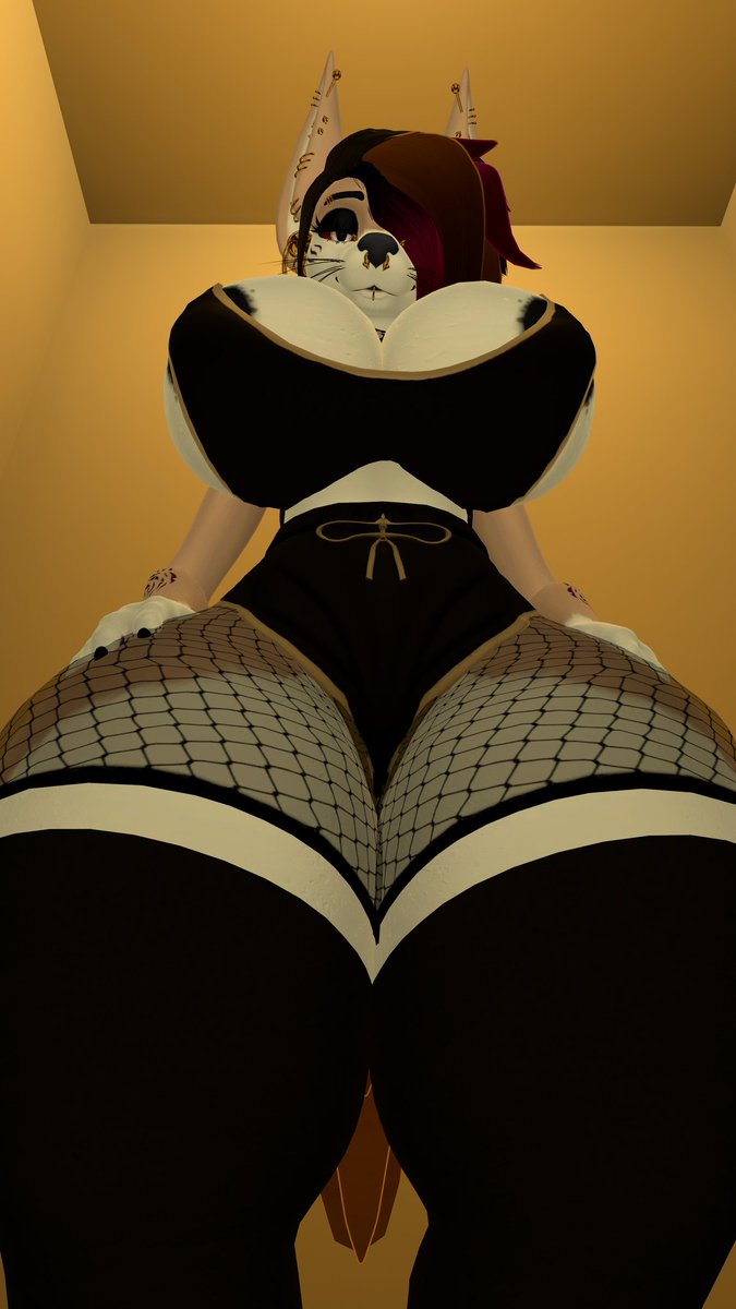 Mrs Midnight tweet media