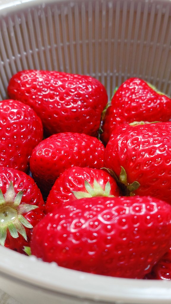 いっちー(イチユ8787) tweet media