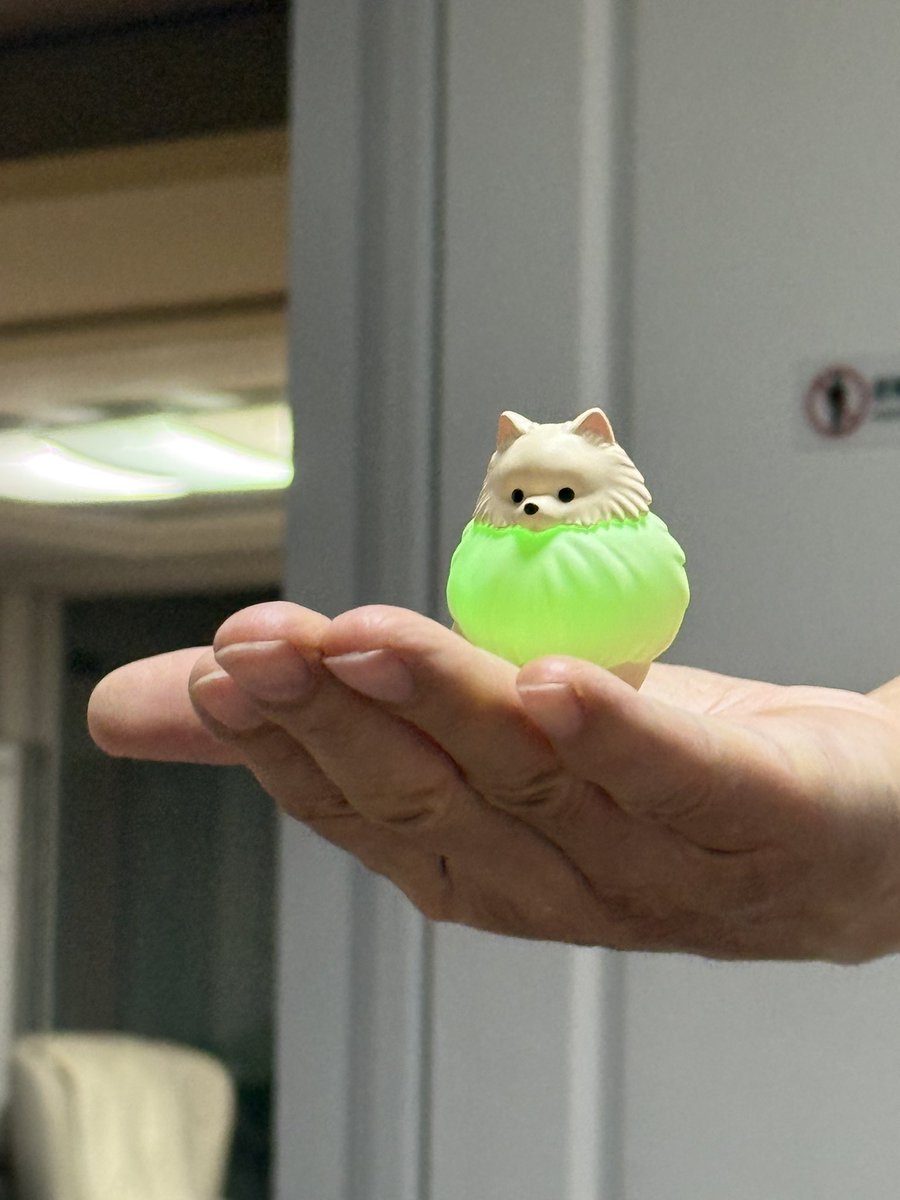 아빠와 다정이 tweet media