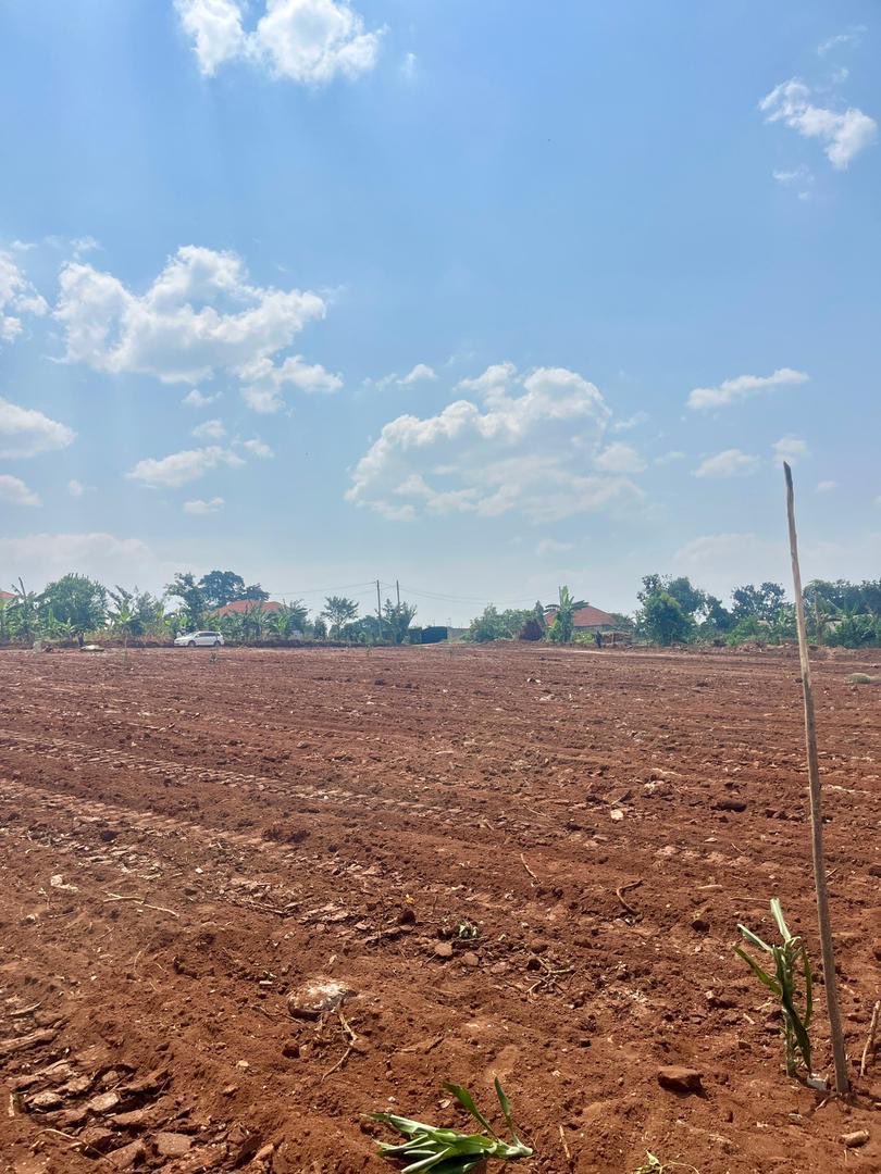 moshrealestates's tweet image. Now selling in Kira - Kitukutwe Phase 1, Island Estates 🏡

50x100 plots at 65M UGX
Deposit: 50%
Flexible payment plans available

Invest today with Mosh Real Estate 💫

#MoshRealEstate #LandForSale #UgandaRealEstate #PropertyInvestment #KiraKitukutwe