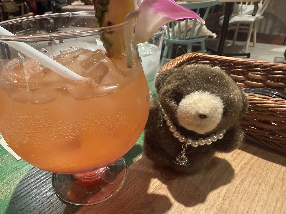 キティ tweet media