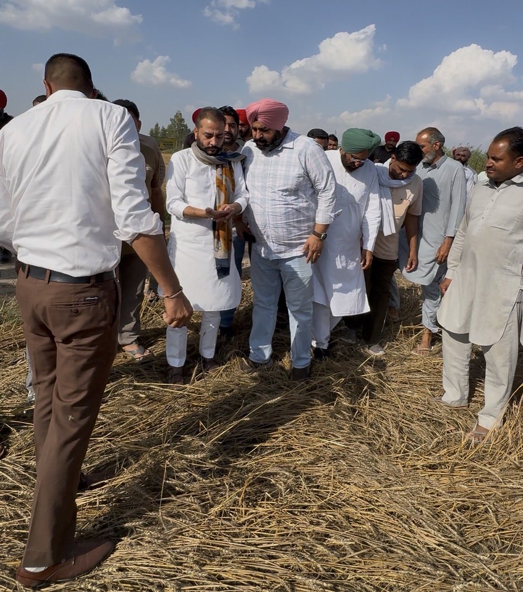 RaminderAwla's tweet photo. ਪਿੱਛਲੇ ਦਿਨੀ ਮੀਹ ਪੈਣ ਕਾਰਨ ਹੋਏ ਫਸਲਾਂ ਦੇ ਨੁਕਸਾਨ ਦਾ ਜਾਇਜ਼ਾ ਲਿਆ l 
ਪੰਜਾਬ ਸਰਕਾਰ ਨੂੰ ਅਪੀਲ ਕਰਦੇ ਹਾਂ ਕਿ ਕਿਸਾਨਾਂ ਦਾ ਬਹੁਤ ਜ਼ਿਆਦਾ ਨੁਕਸਾਨ ਹੋਇਆ ਹੈ l
ਕਣਕ ਦੀ ਖੇਤੀ ਵਾਲੇ ਕਿਸਾਨਾਂ ਨੂੰ 50,000 ਰੁਪਏ ਪ੍ਰਤੀ ਏਕੜ ਅਤੇ ਬਾਗਾਂ ਦੀ ਖੇਤੀ ਵਾਲੇ ਕਿਸਾਨਾਂ ਲਈ ਇੱਕ ਲੱਖ ਰੁਪਏ ਦੇ ਹਿਸਾਬ ਨਾਲ ਮੁਆਵਜ਼ਾ ਦਿੱਤਾ ਜਾਵੇ ll https://t.co/c9b3ZnGVQ8