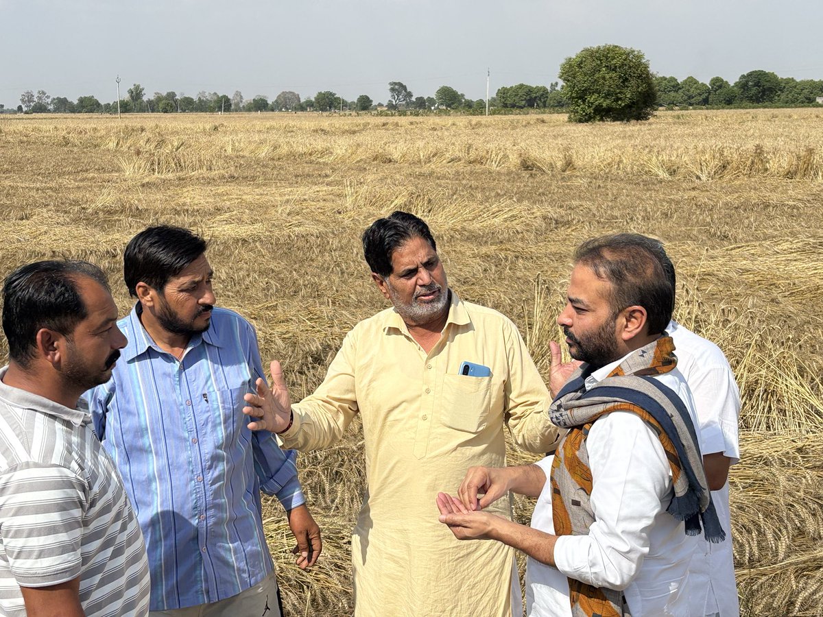 RaminderAwla's tweet photo. ਪਿੱਛਲੇ ਦਿਨੀ ਮੀਹ ਪੈਣ ਕਾਰਨ ਹੋਏ ਫਸਲਾਂ ਦੇ ਨੁਕਸਾਨ ਦਾ ਜਾਇਜ਼ਾ ਲਿਆ l 
ਪੰਜਾਬ ਸਰਕਾਰ ਨੂੰ ਅਪੀਲ ਕਰਦੇ ਹਾਂ ਕਿ ਕਿਸਾਨਾਂ ਦਾ ਬਹੁਤ ਜ਼ਿਆਦਾ ਨੁਕਸਾਨ ਹੋਇਆ ਹੈ l
ਕਣਕ ਦੀ ਖੇਤੀ ਵਾਲੇ ਕਿਸਾਨਾਂ ਨੂੰ 50,000 ਰੁਪਏ ਪ੍ਰਤੀ ਏਕੜ ਅਤੇ ਬਾਗਾਂ ਦੀ ਖੇਤੀ ਵਾਲੇ ਕਿਸਾਨਾਂ ਲਈ ਇੱਕ ਲੱਖ ਰੁਪਏ ਦੇ ਹਿਸਾਬ ਨਾਲ ਮੁਆਵਜ਼ਾ ਦਿੱਤਾ ਜਾਵੇ ll https://t.co/c9b3ZnGVQ8