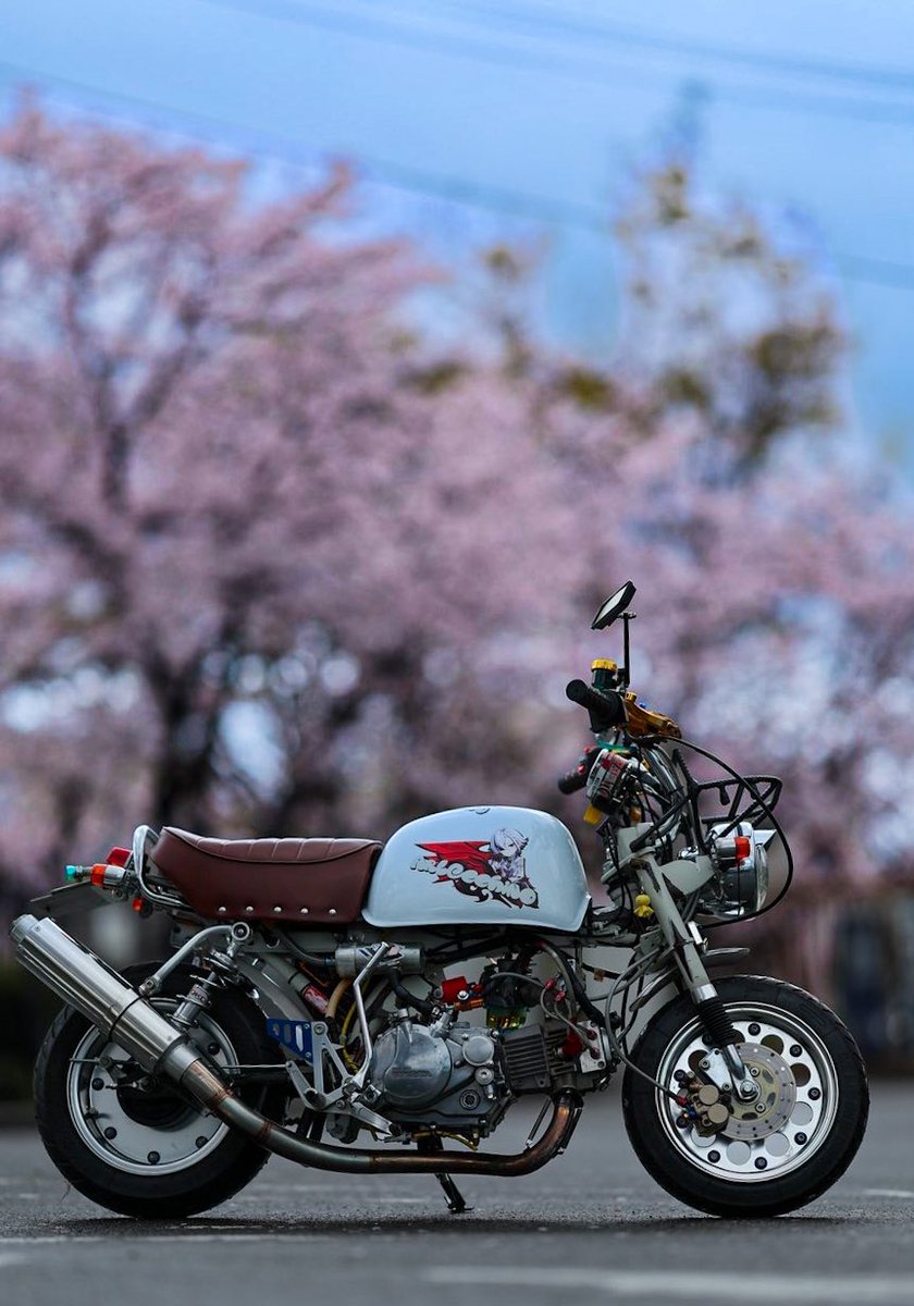 まこ@👑🎤☺️🐅 tweet media