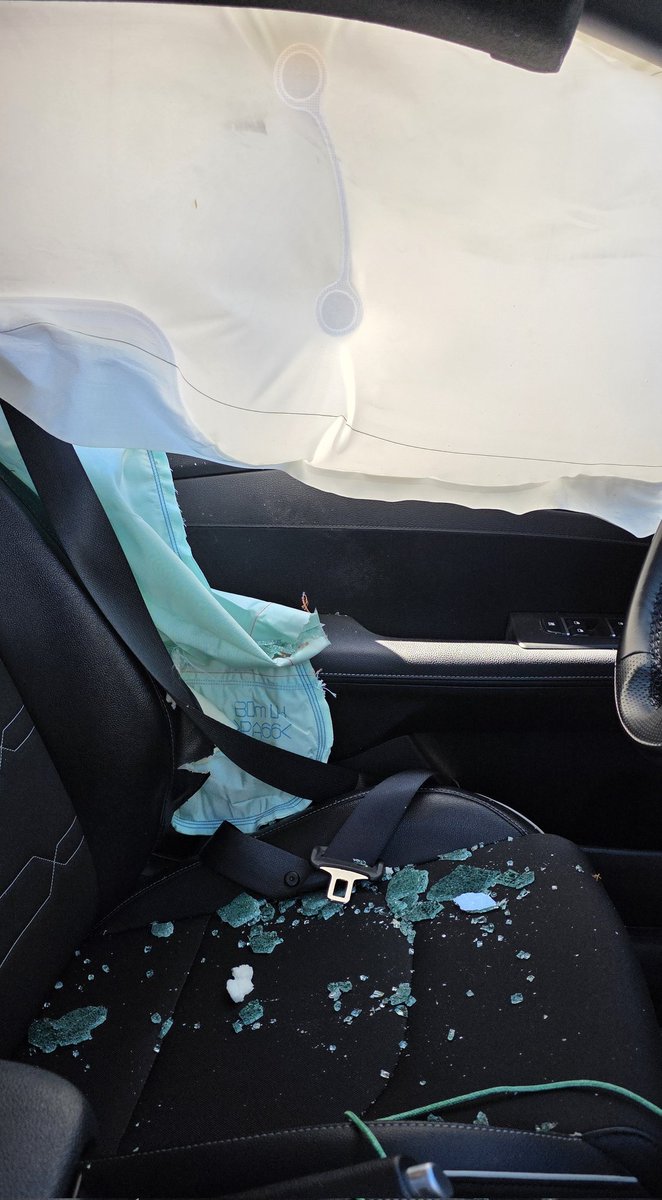 ☔️Little Mia Fox🩵 tweet media