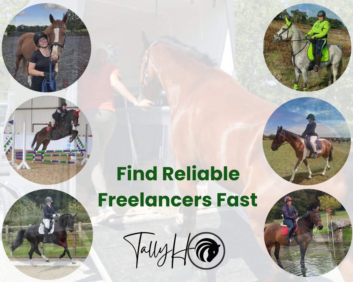 TallyHOTalent's tweet image. Are you looking for a reliable freelancer? 

We have available freelancers in your area right now! 

TallyHOTemps.com   

#freelance #equine #equinejobs