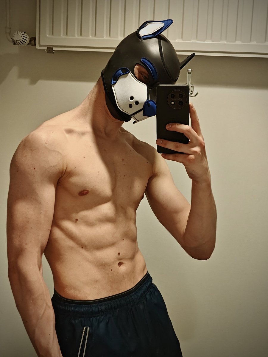 Pup Dutch 🔜 🇬🇧Animalz tweet media