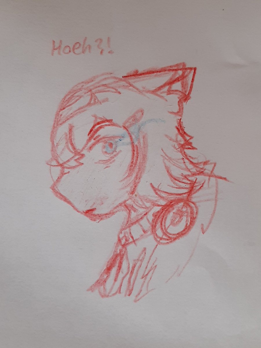 PuddleLynx 🎼🚑 tweet media