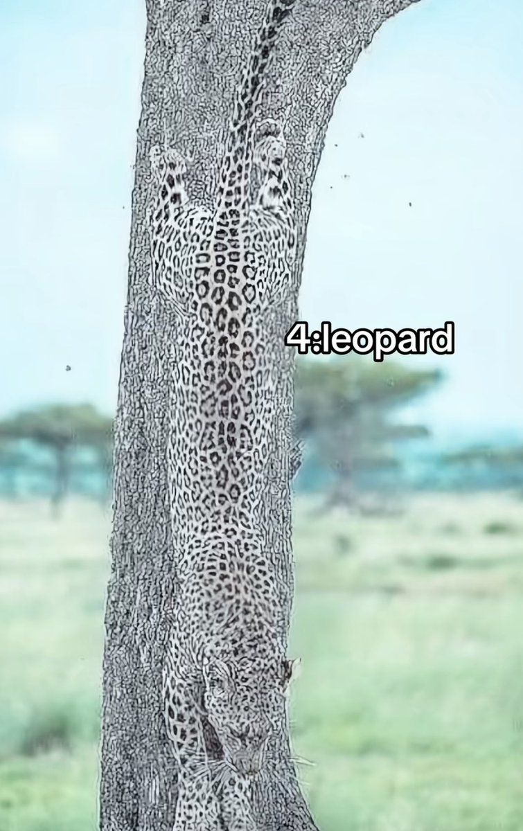 ارثر tweet media