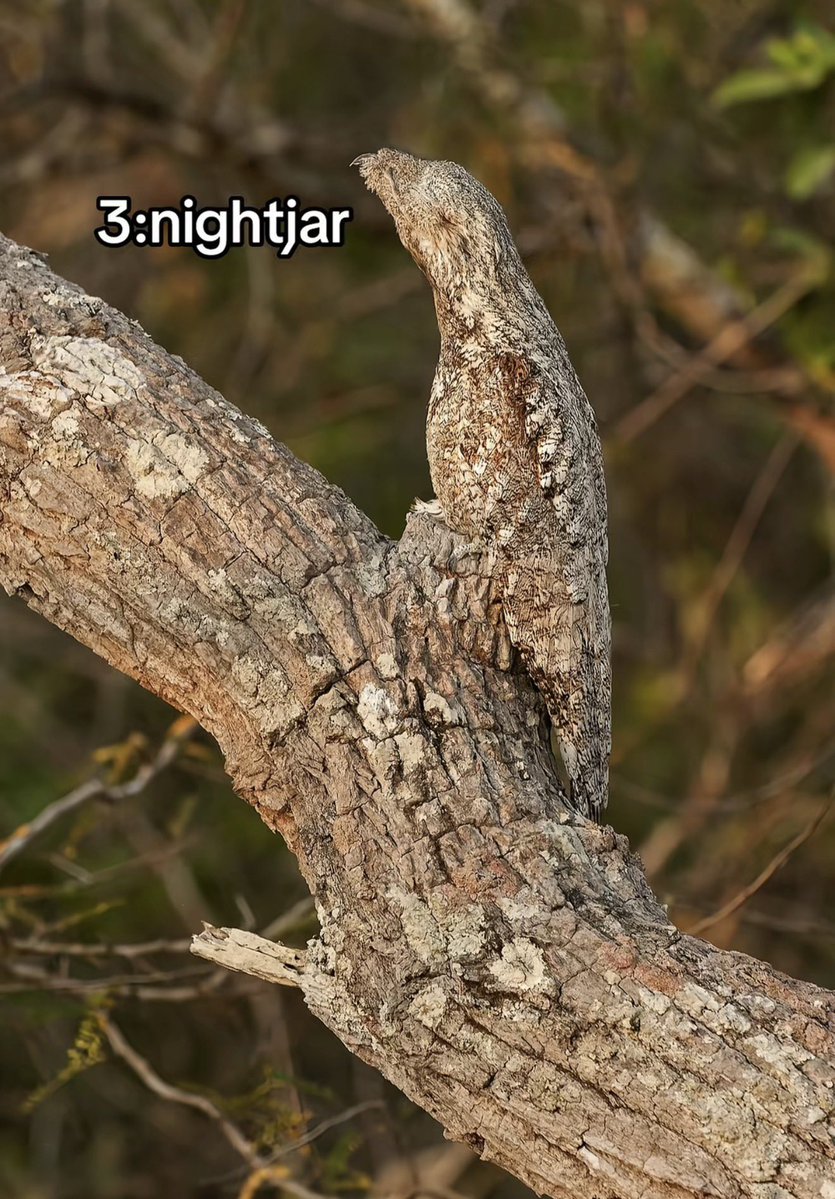 ارثر tweet media