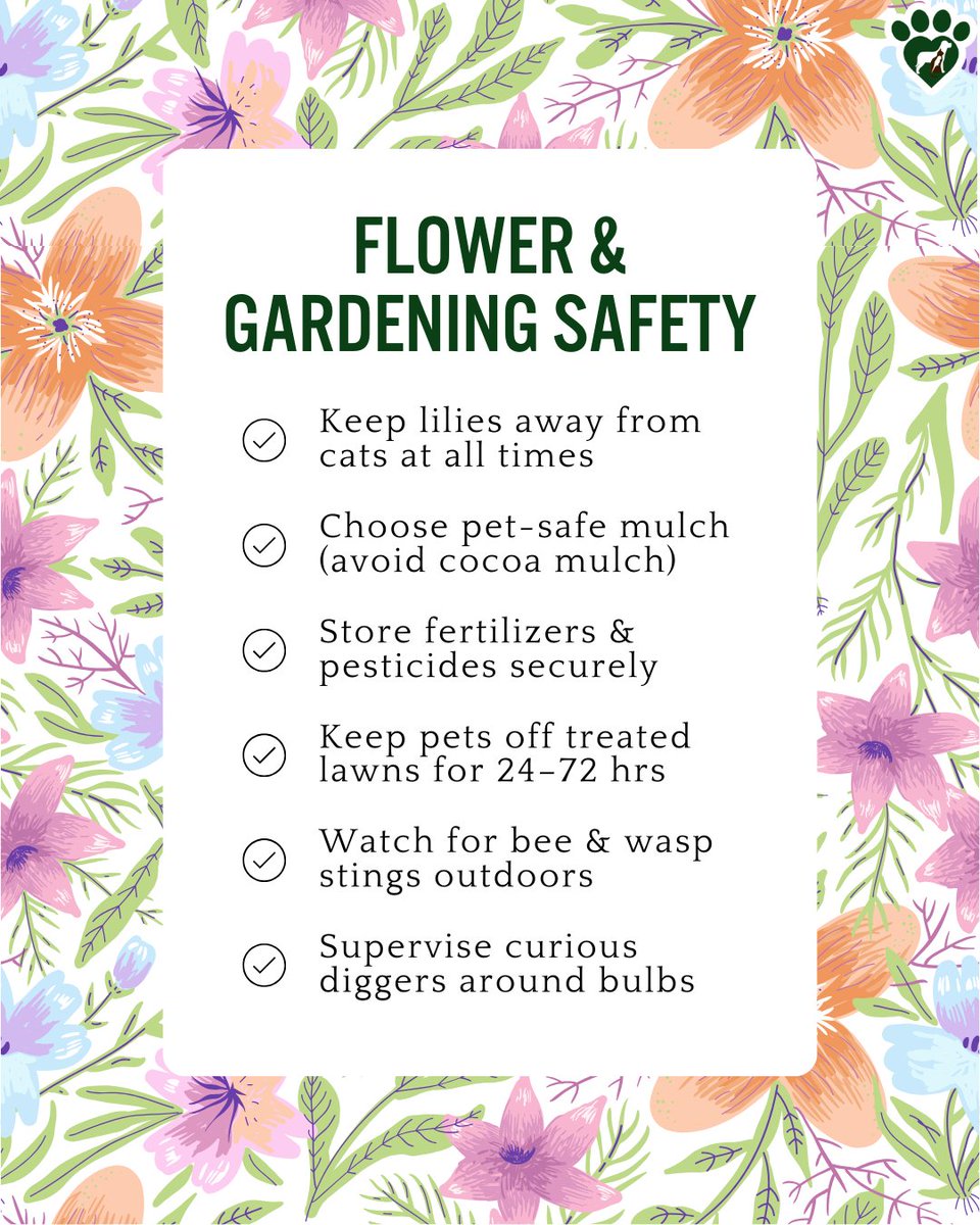 Animal Hosp. Sussex tweet media