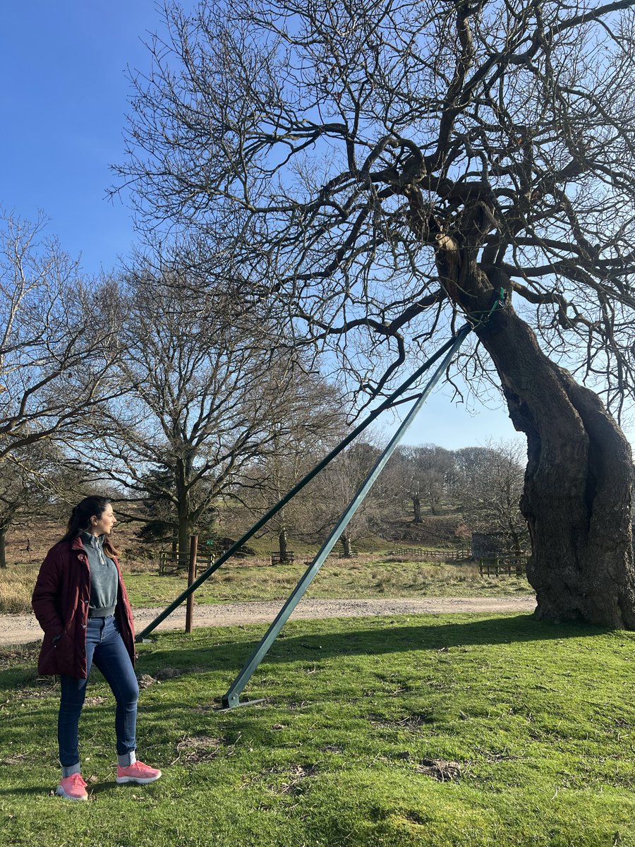 Shiffa Z. Yousafzai tweet media