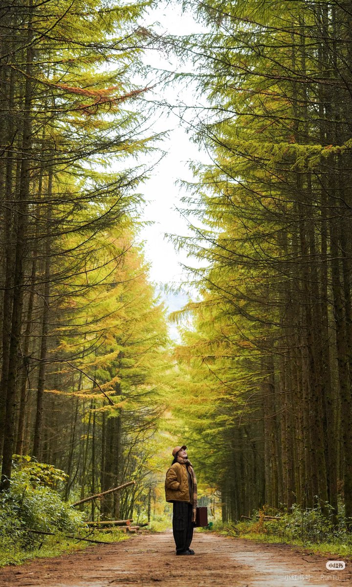 Colleen Glen tweet media