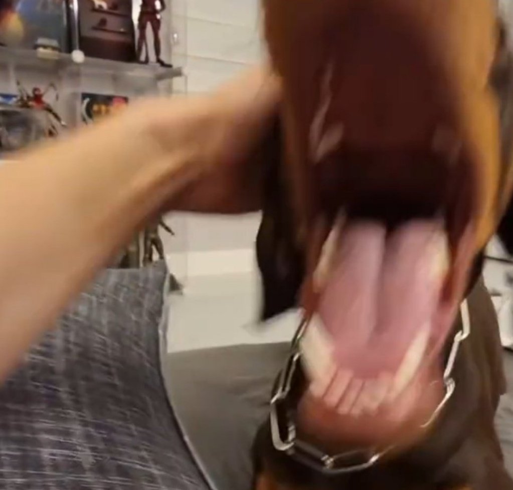 ᴮᴱ Mari 🇨🇴 ⁷ tweet media